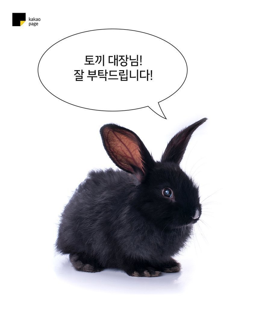 한판판치죠