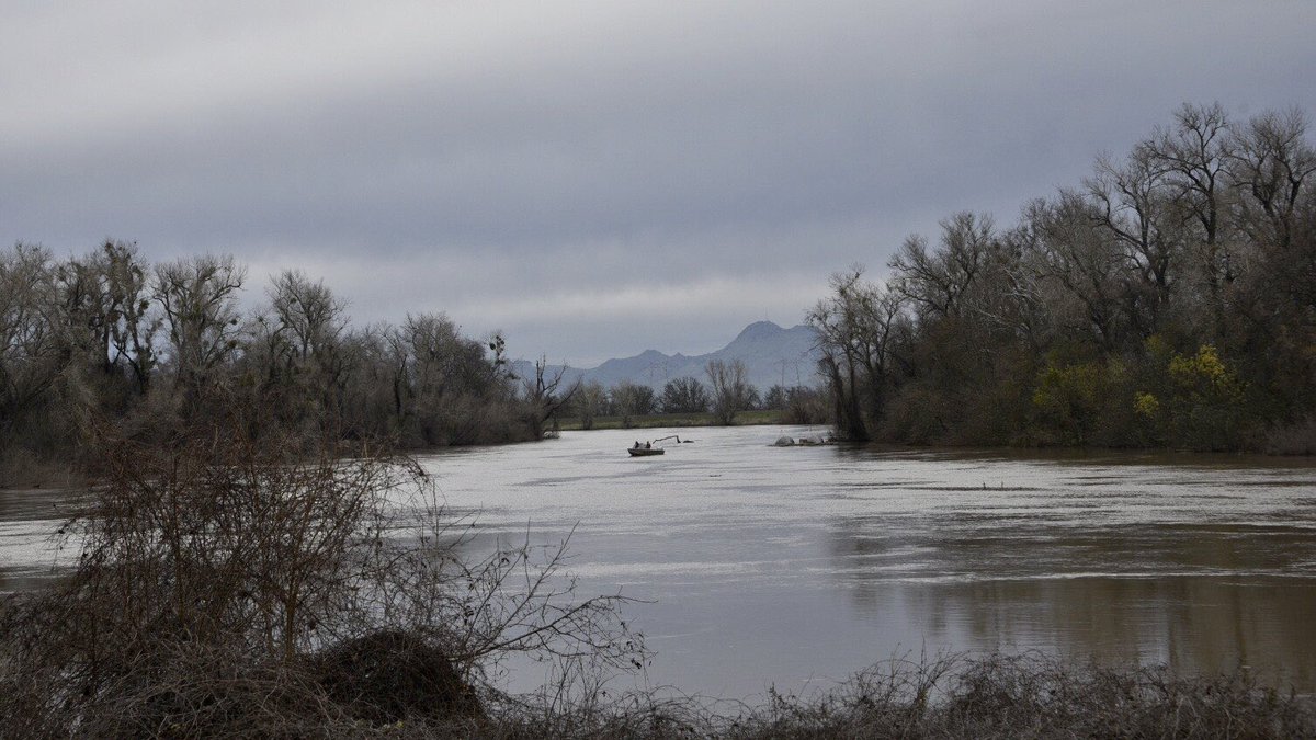 RD108Irrigation's tweet photo. Yesterday’s view of the Sacramento River from the levee on Wilson Bend Road #colusacounty #grimesca https://t.co/uzCbN59T0d