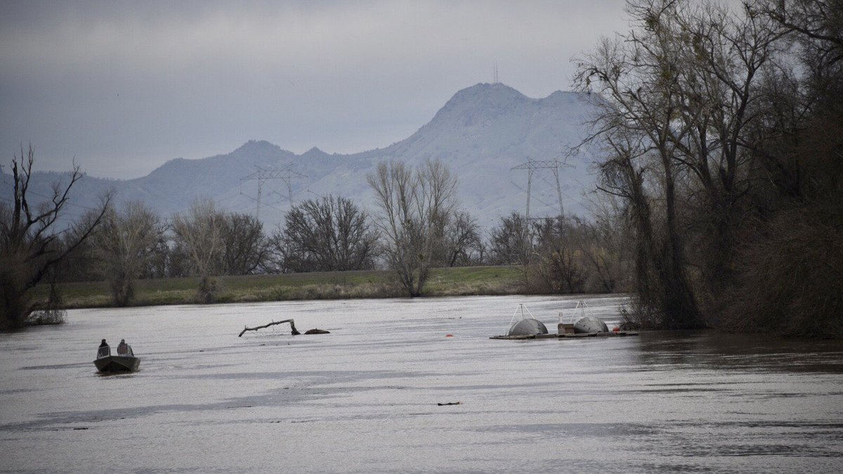 RD108Irrigation's tweet photo. Yesterday’s view of the Sacramento River from the levee on Wilson Bend Road #colusacounty #grimesca https://t.co/uzCbN59T0d