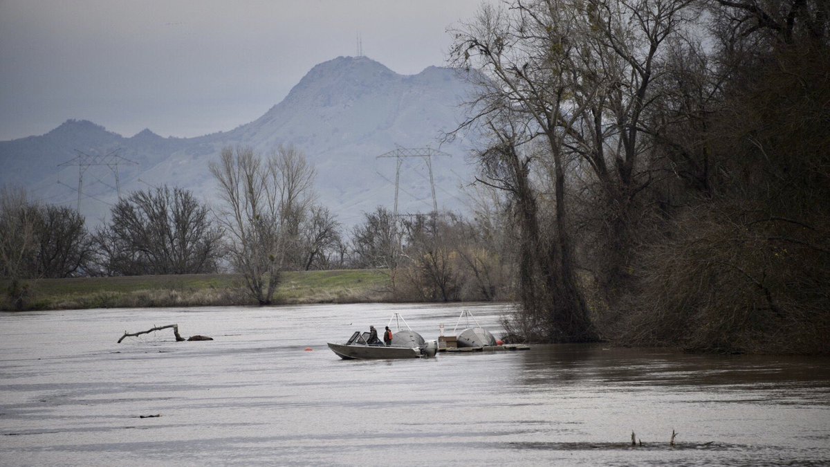 RD108Irrigation's tweet photo. Yesterday’s view of the Sacramento River from the levee on Wilson Bend Road #colusacounty #grimesca https://t.co/uzCbN59T0d