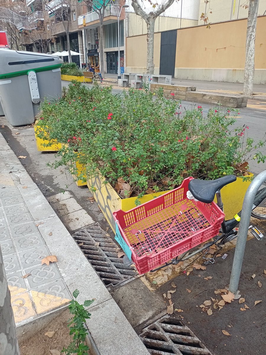 Hola <a href="/paugv87/">Pau Gonzàlez Val</a> ! a la #superilla SantAntoni (Borrell/Aldana) al tram de Borrell dsd Mercat a Paral.lel (on llueix més "maco i ben cuidat" aquest "eix verd"), les companyes dl #bicibus #eixample us heu oblidat una bici per si la voleu passar a recollir. Ja porta uns quants dies