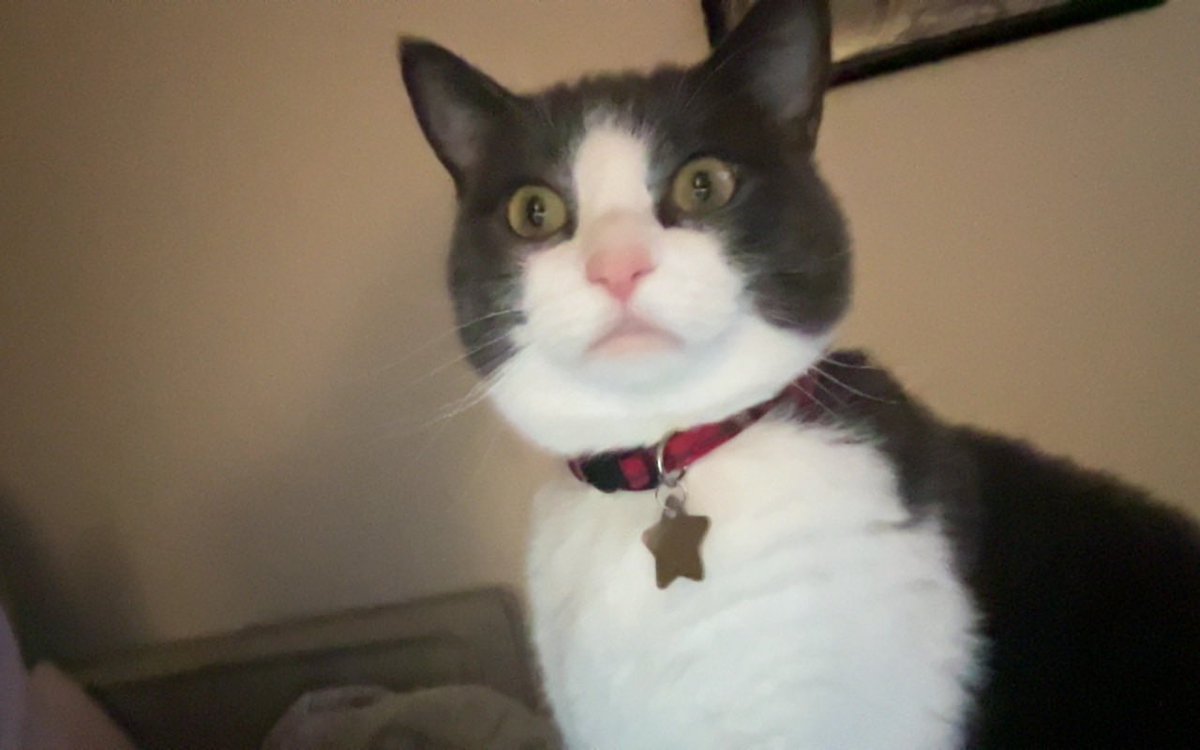 oodleofspoodle's tweet photo. pov u answer my facetime https://t.co/AsJANp269W