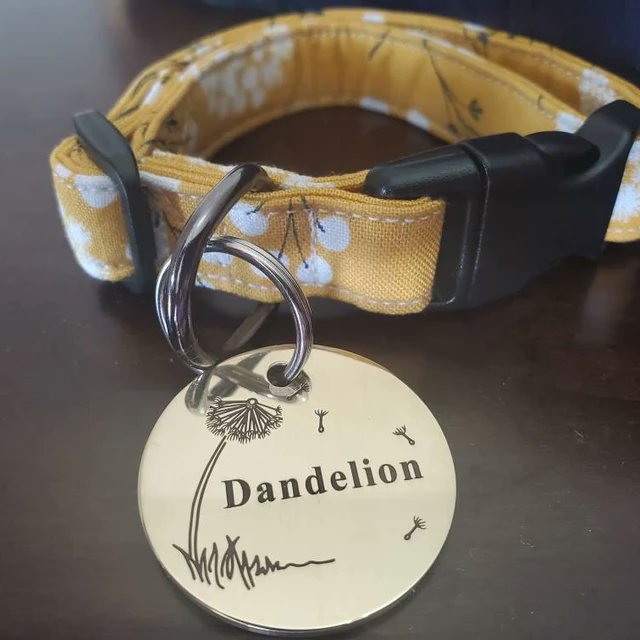TenYearTags's tweet photo. @ProductHunt Dog Name Tag! https://t.co/WkKvdkAQJs