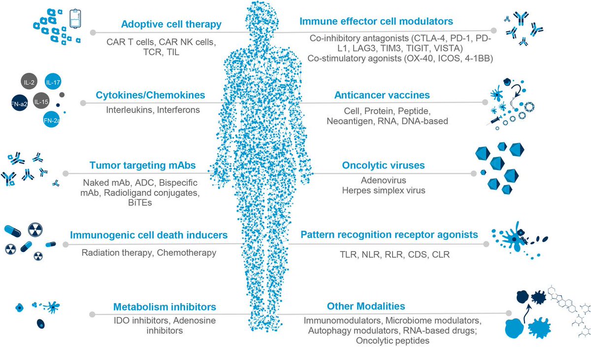 One year later, let's take a look back at this popular #JITC review - Immuno-oncology trends: preclinical models, biomarkers, and clinical development bit.ly/3nnrbGv <a href="/KSainiMD/">KS Saini, MD</a> <a href="/curijoey/">G Curigliano MD PhD</a>