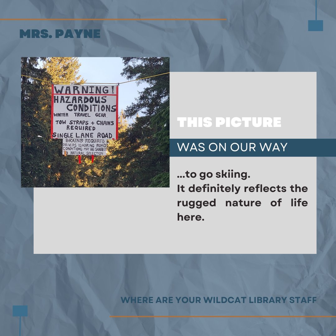 MVLibrary tweet media