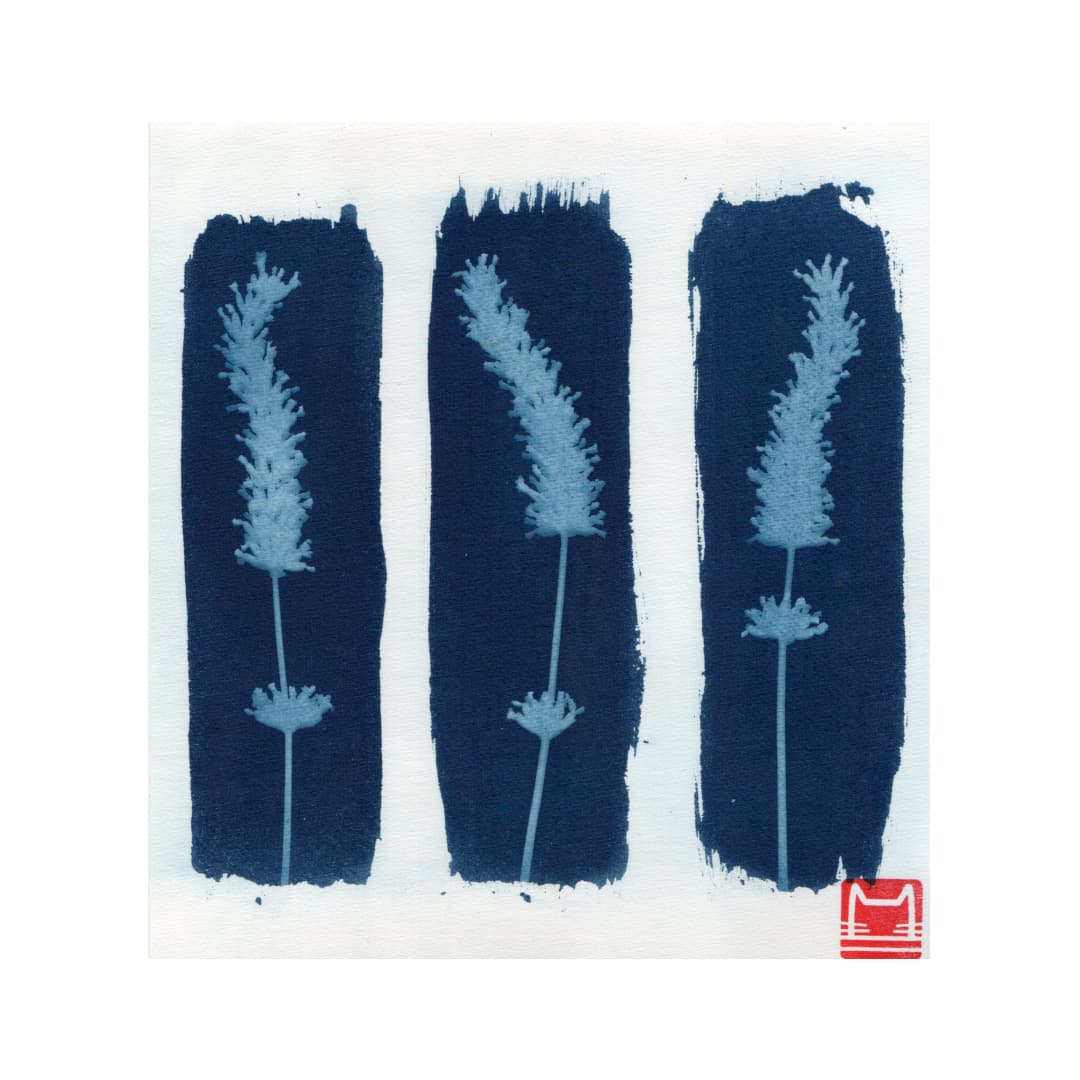 Lavender, 2022
.
#Art #Cyanotype #Cyanotypes #Cianotipia #SunPrint #Lavender #УкрАрт #УкрАртПідтримка #Ціанотипія #Цианотипія #Лаванда