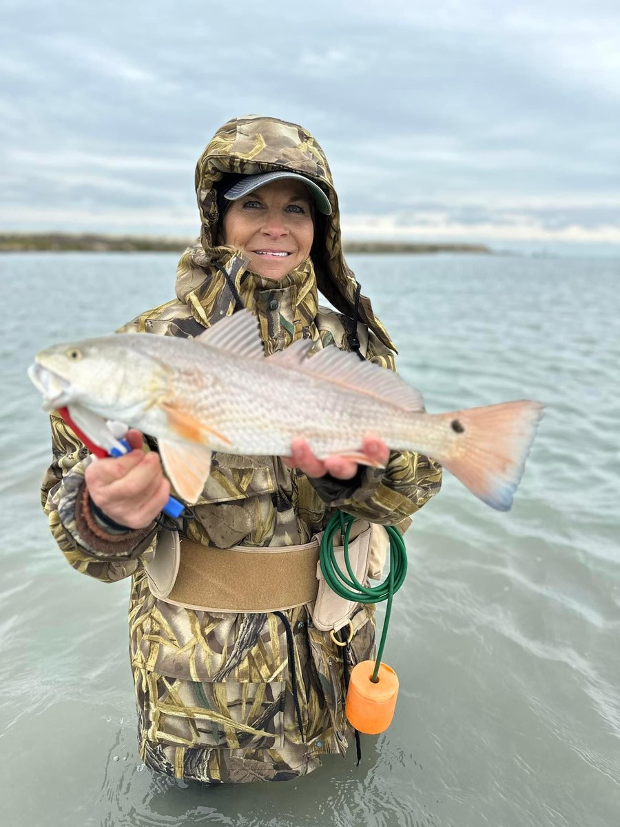 CCA_Texas's tweet image. Workin' a winter wade 💪

🐟 Redfish
🎣 On Artificial

📸: Mary Hart, Aransas Bay Chapter

#JoinCCA