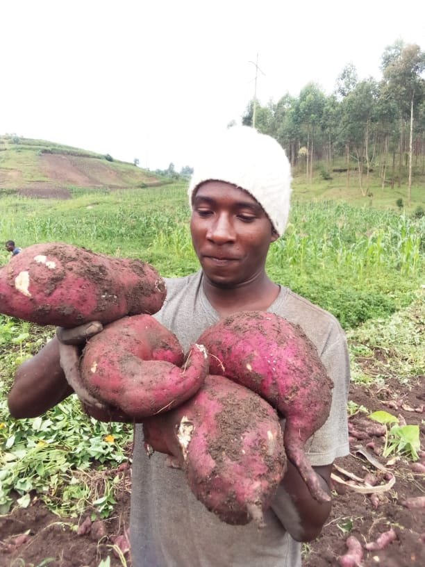 KazozaFM's tweet photo. 🧑‍🦱 Twagarutse ku ntahe y'uwukora amavuta mu bizinu, uwukora impuzu mu runyuzi, umurimyi w'ibijumbu biteye igomwe n'abandi..
 
📻  Kurikirana  ikiganiro #Fbu kuri 103.3 MHz @KazozaFM   isaha 18h05, ugire ico wizemwo tubona kugwiza umwimbu natwe muri #2023

#Burundi #BeYourOwnBoss https://t.co/T8FI1usedh