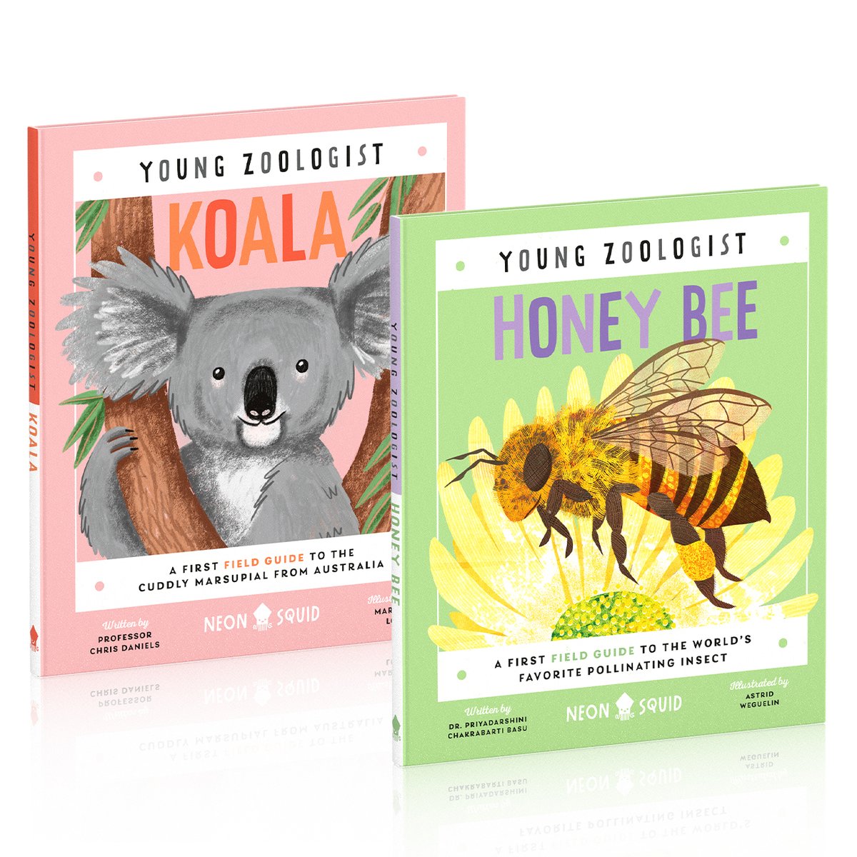 neonsquidbooks's tweet image. The next two books in our Young Zoologist series are out now!🎉

In Honey Bee, readers journey into a beehive with expert @PriyadarshiniCB to meet this super cool insect. In Koala, professor Chris Daniels teaches kids about the cuddly animal that sleeps for 15 hours a day.🐝🐨💤