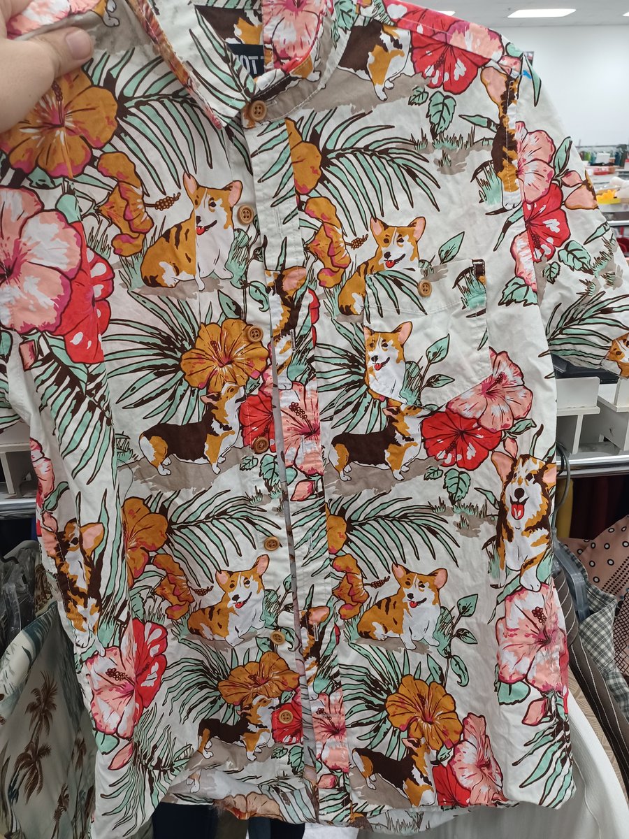 A corgi Hawaiian shirt! This is pretty epic
(I didn't get it but it is still pretty rad)
#clothing #thriftshopping #corgi