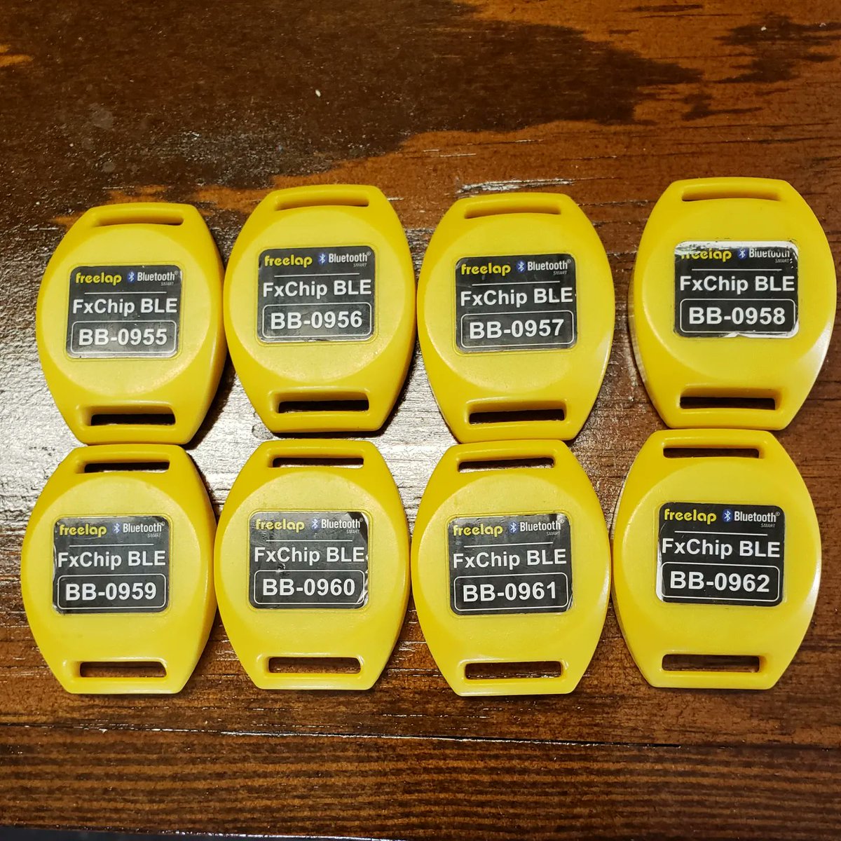 tkalionsxc's tweet photo. Batteries replaced & updated all our chips! New batteries for our transmitters too! Ready for Track & Field 2023! #TKALions #TKALionsXC #TKALionstrack #Simplifaster #Freelap #wjmxccoach https://t.co/e0fCxWUoDo