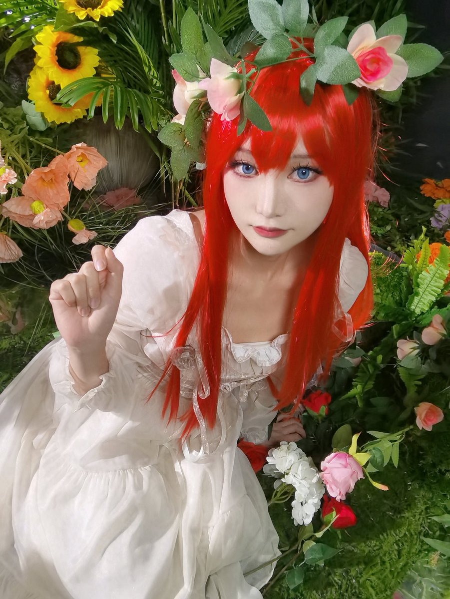 nimaonini's tweet photo. 有幸试拍了小白的花园新景，今日小确幸～ https://t.co/qMIWBUOSDy