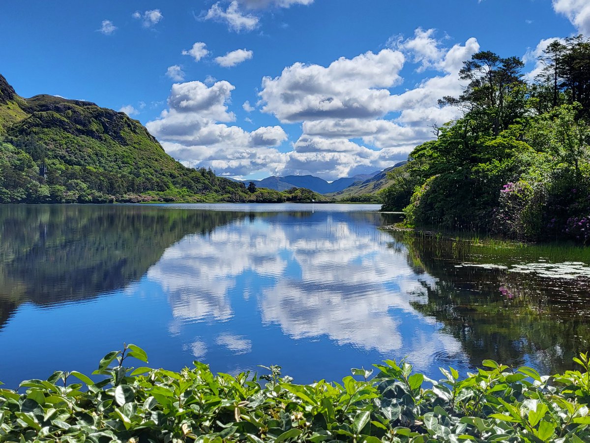 🌎Andrea🌍 tweet media