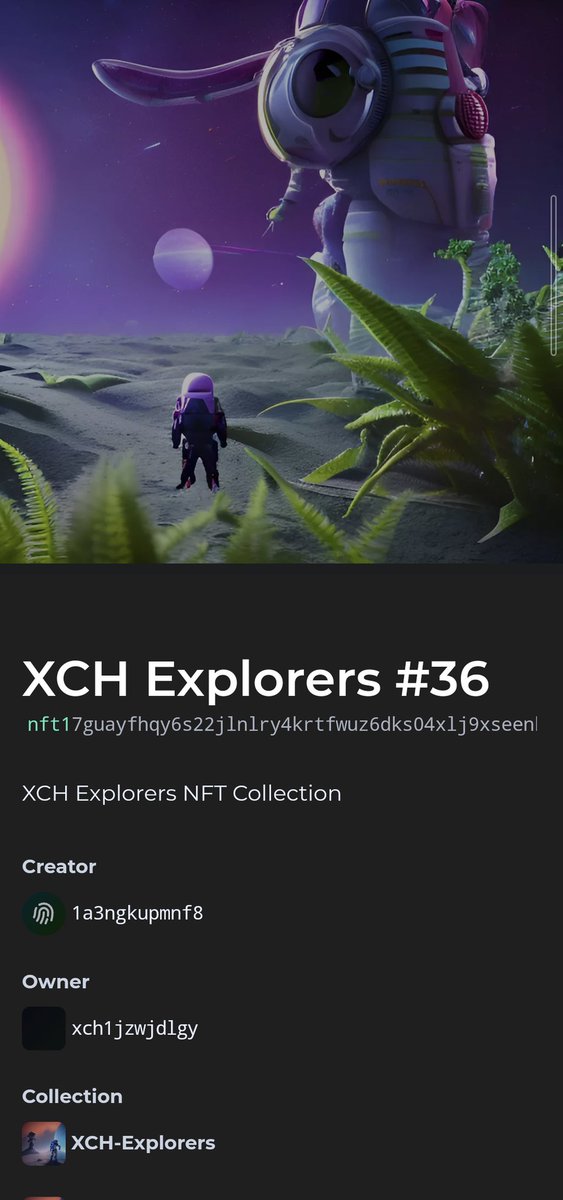ChiaExplorers's tweet image. NFT's on dexie.🌱🌌
#xch #NFTProject #AIArtwork