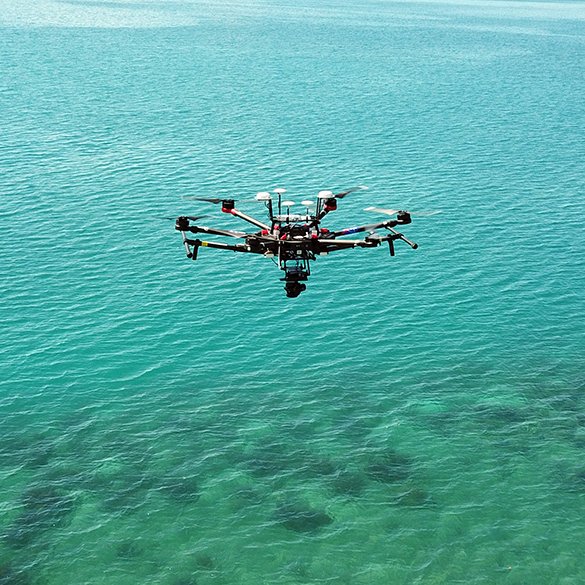 NOAACoral's tweet photo. How can we make coral cover data more accessible and usable?
📣 Read all about current efforts to do just that here: 
https://t.co/Ls8YLvNDJl 
#CoralReef https://t.co/lTgRGBXrzc