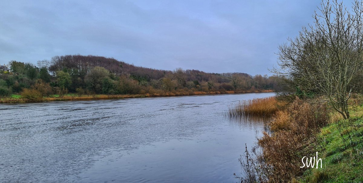 sam_hanna2112's tweet image. 03/01/23. Yesterday's blue sky has been replaced by clouds and rain along the #Bann @ #Coleraine @bbcniweather @VisitCauseway @angie_weather @barrabest @WeatherCee @wearetrekni @walkitoffni @deric_tv @WeatherAisling @lindahughesmet @Louise_utv @geoff_maskell