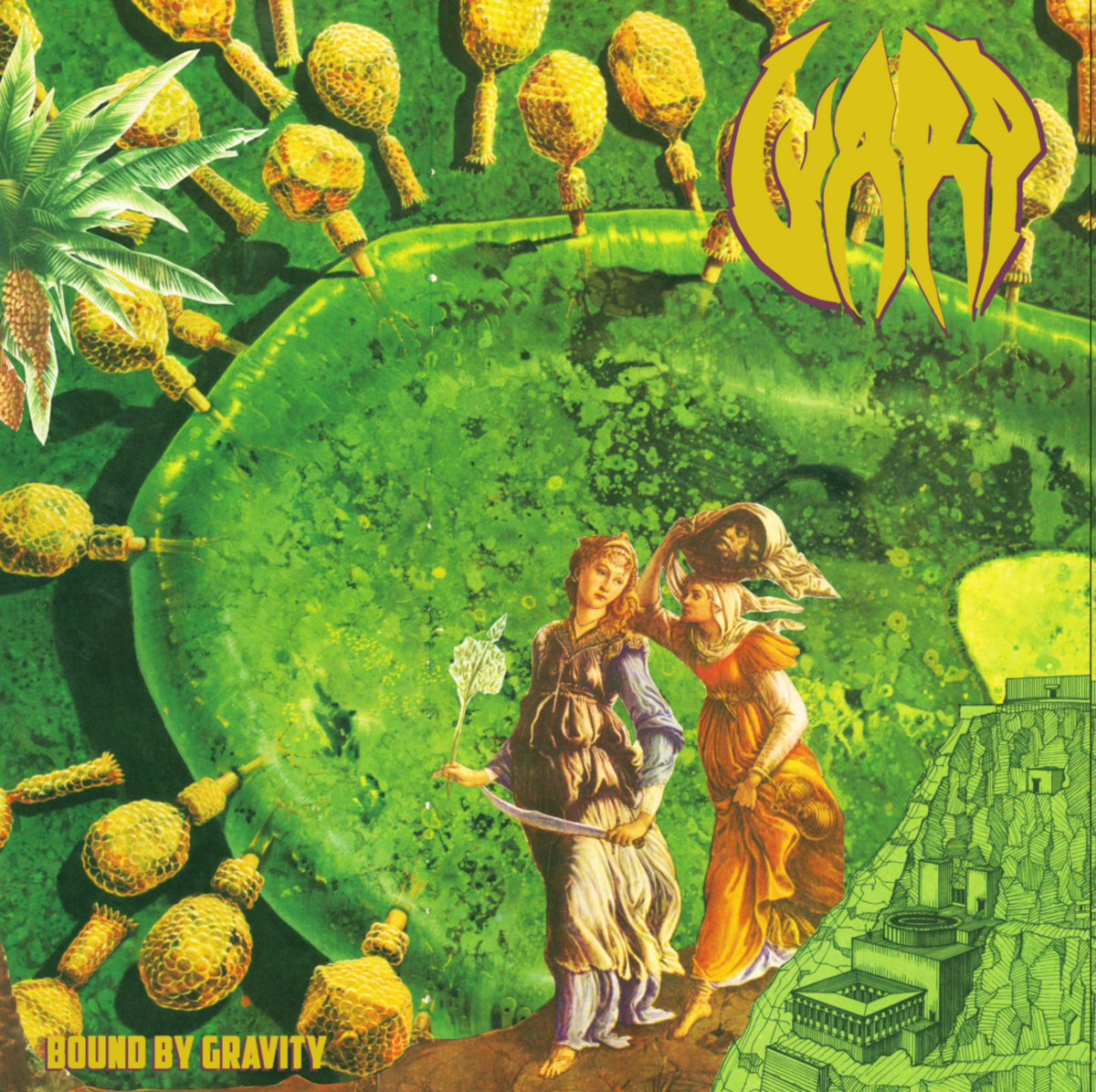 Nasoni Records tweet media