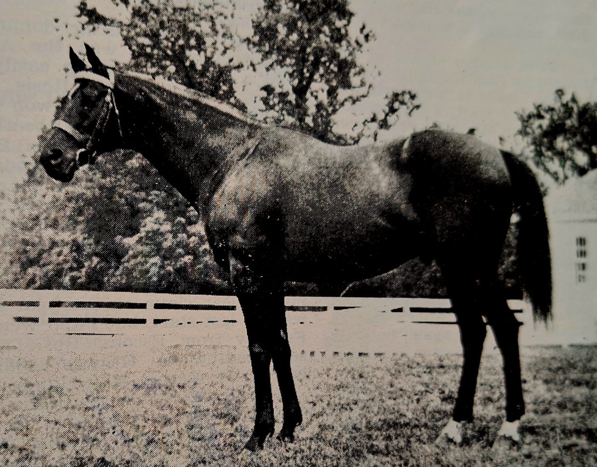 HORSERACING1002's tweet photo. HOURLESS🇬🇧1914
(NEGOFOL - HOUR GLASS II BY ROCK SAND) #Hourless
1918 @BelmontStakes 🏆 NTR. 1917 Co-champion 3yo Colt. Sired 17 SW.
Stood at Nursery Stud in Ky. https://t.co/j2Q6BhqGk6