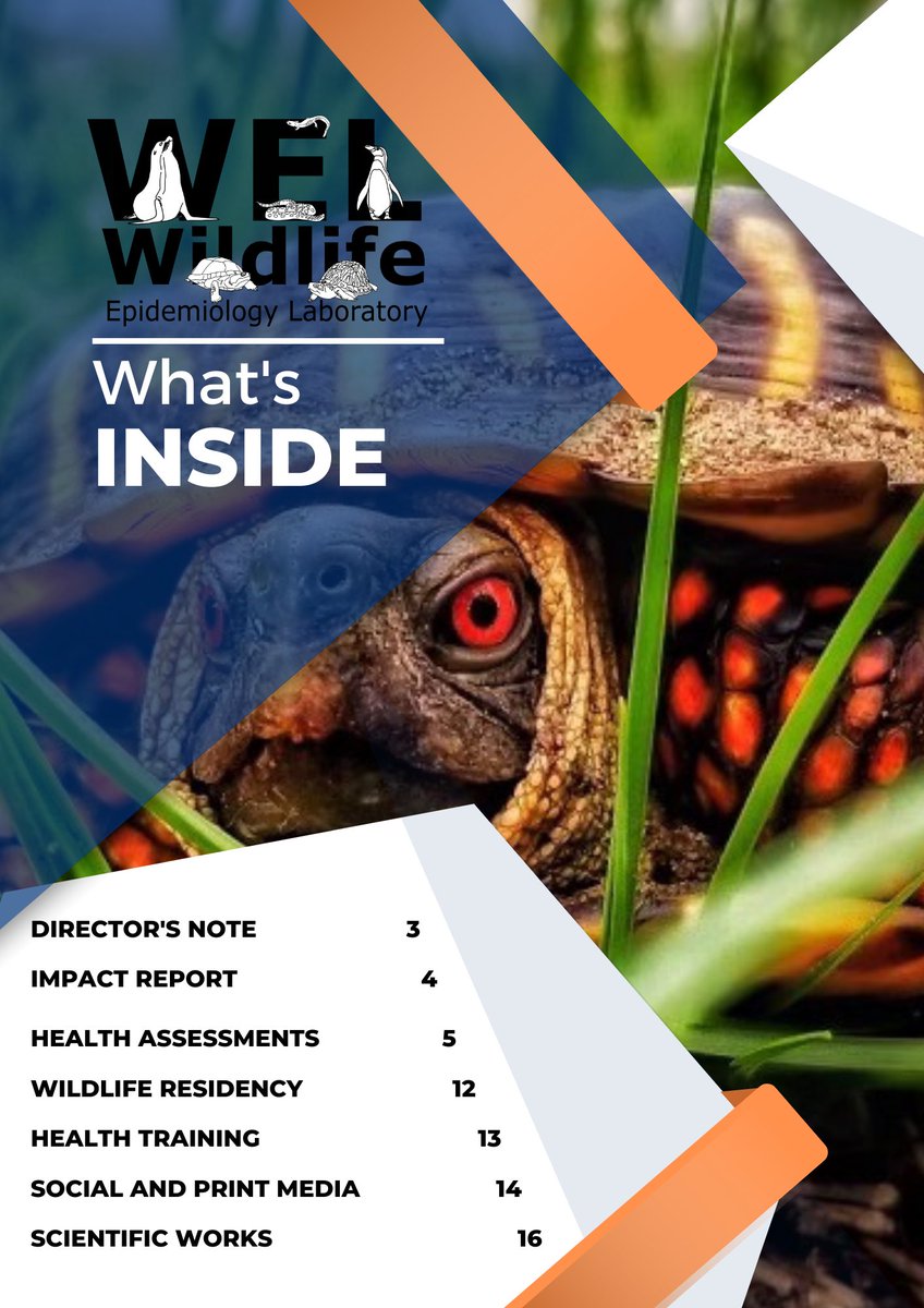 WildlifeEpiLab's tweet photo. (1/5) Interested in what the Wildlife Epidemiology Lab accomplished in 2022? Check out our 2022 annual report!! https://t.co/fJCD4887WT