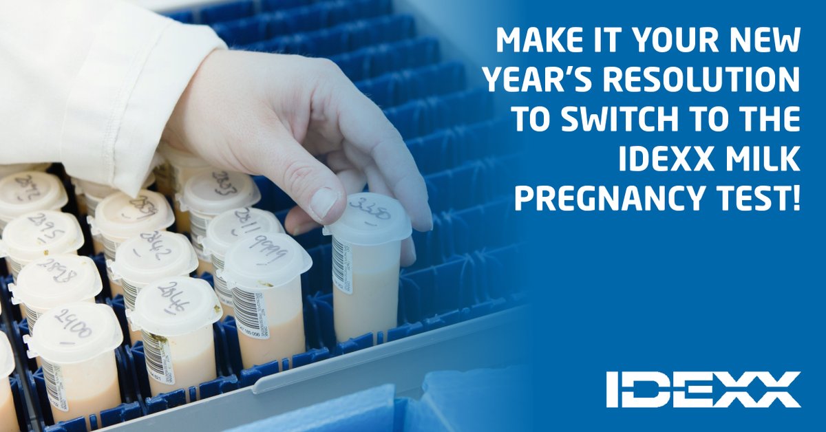 IDEXXLivestock's tweet image. Make it your News Year’s resolution to switch to the IDEXX milk pregnancy test. 

Save time ⏰ and money 💷  by identifying open cows quicker from just a few drops of milk. 

Contact IDEXX or your Milk Recording Organisation to find out more: bit.ly/MilkPD