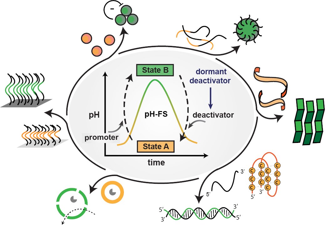 Andreas Walther🇪🇺🇺🇦 (@waltherlab) on Twitter photo Our Feature Article on "pH Feedback Systems to Program Autonomous Self-Assembly and Material Lifecycles" is online in <a href="/ChemCommun/">Chemical Communications</a> Big thanks to <a href="/CharuSh2302/">Charu Sharma</a> and <a href="/dr_indrajit100/">Indrajit Maity</a>! a short 🧵
pubs.rsc.org/en/content/art… #selfassembly #noneqsys #CRN #systemschemistry Our Feature Article on "pH Feedback Systems to Program Autonomous Self-Assembly and Material Lifecycles" is online in <a href="/ChemCommun/">Chemical Communications</a> Big thanks to <a href="/CharuSh2302/">Charu Sharma</a> and <a href="/dr_indrajit100/">Indrajit Maity</a>! a short 🧵
pubs.rsc.org/en/content/art… #selfassembly #noneqsys #CRN #systemschemistry