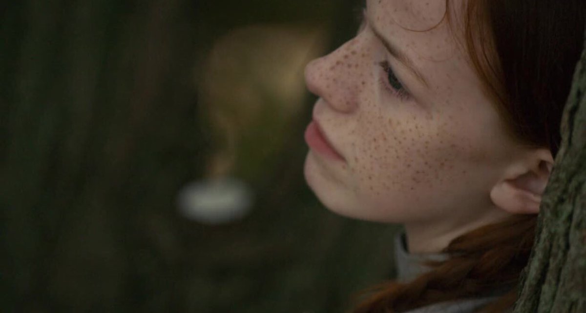 bestannewithanE's tweet photo. anne shirley cuthbert in green gables is such a beautiful aesthetic https://t.co/70MrbSRrIp