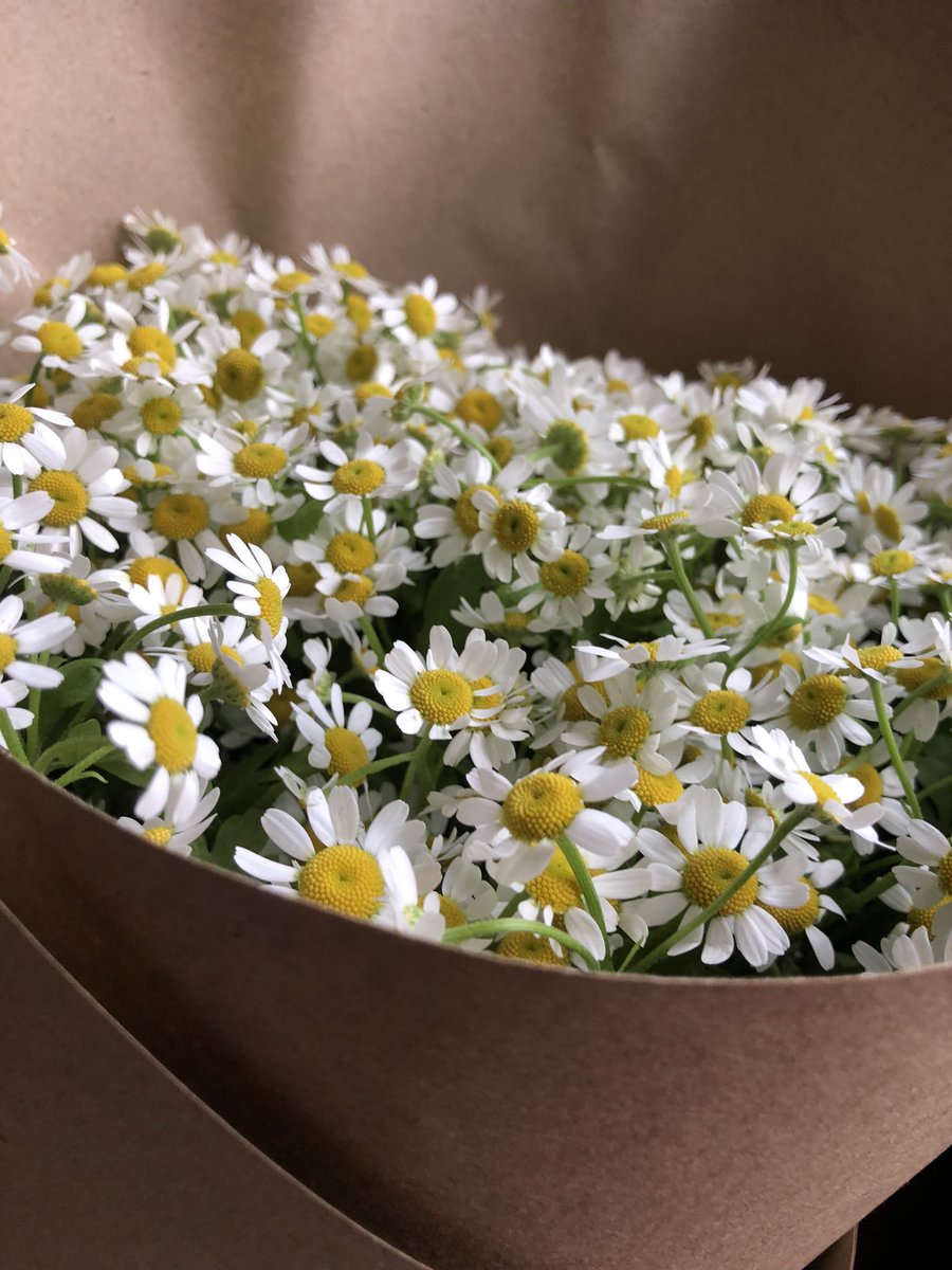 "أتأخذين من الجمال أنتِ أم تُعطينه؟"