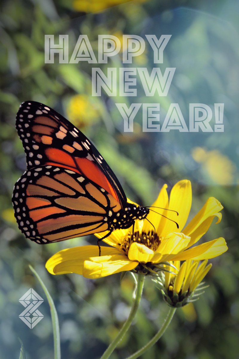 indigo_studios's tweet photo. A new year is here. Let’s discover what is at the heart of your brand and the best way to bring it into focus, together.

#indigostudios, #design, #animation, #vfx,  #butterfly, #transform, #grow, #thrive https://t.co/4Qn86xE7Bm