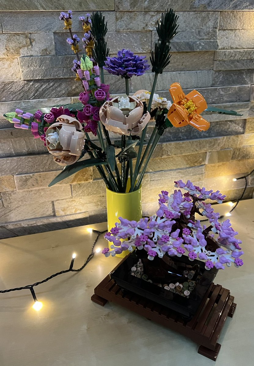 baliskatus's tweet photo. hát ez nagyon klassz évkezdés volt 
💐🪴💚
köszönjük a LEGOstreamet, srácok 😎
@thevrpisti @thevrjani @thevrbazsi @TheVR_Dani #WeAreTheVR #legostream https://t.co/k06AH5BjTL
