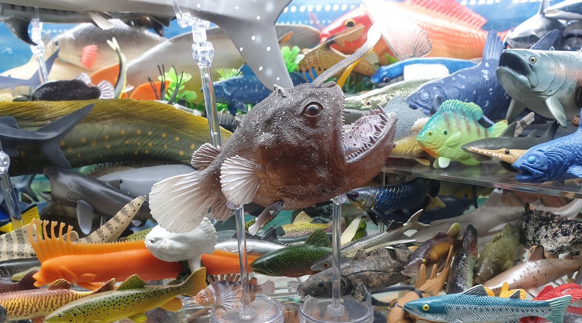 Darren Naish on Twitter: