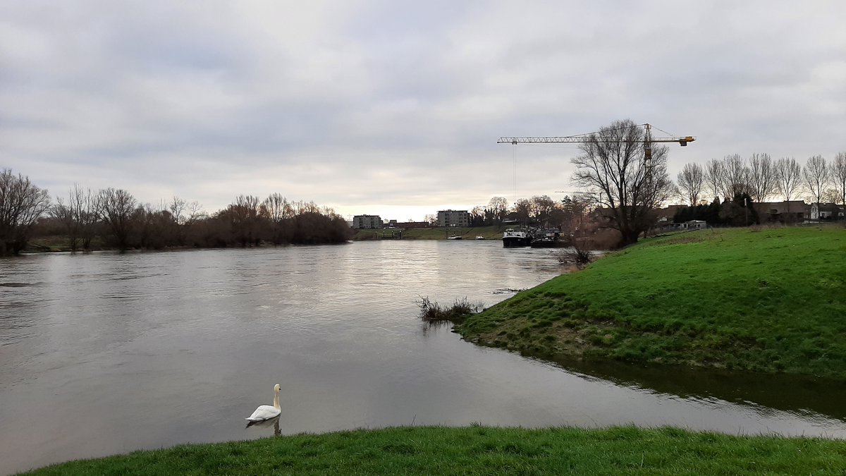inja5248's tweet photo. mijn 🥾🥾wandeling vanmorgen in de #Linnerweerd en langs #Mooder_Maas
geen zon en zwaar bewolkt...toen ik de auto stapte scheen de zon...tja... https://t.co/SD1kv3JHpg