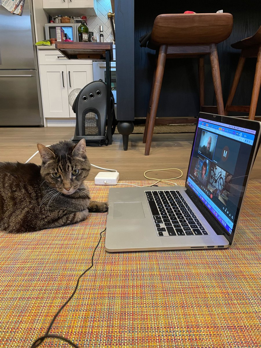 get_amp_digital's tweet photo. There are rumors spreading that we have an unofficial CEO behind the scenes pulling all the strings. These rumors are true. Here is Omar calling the shots during AMP's very first strategy meeting of 2023. https://t.co/MXiJXVNzeu