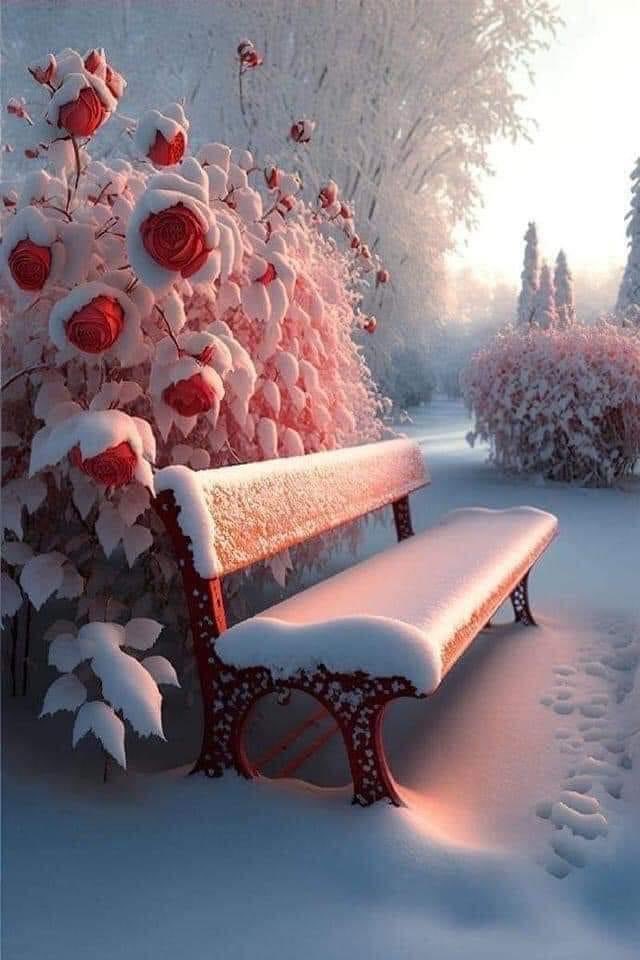 لن تجد أصيلا ينكر 
 الأصيل إن أخذ شكر 
 وإن رأى ستر 
 وإن أحب بذل
 حتى في خصامه أصيل