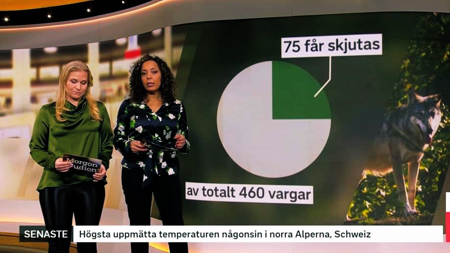 Så var det det där med korrekt grafik igen i nyheterna. Det är ju nästan svårare att göra fel än rätt kan man tycka.