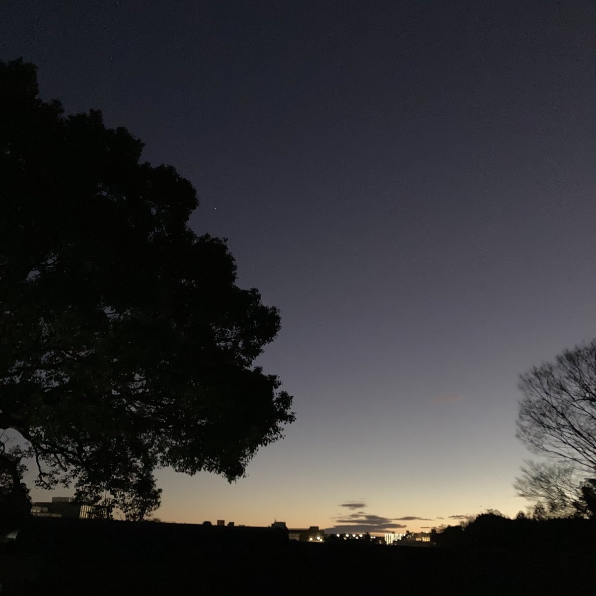 朝焼が綺麗です
