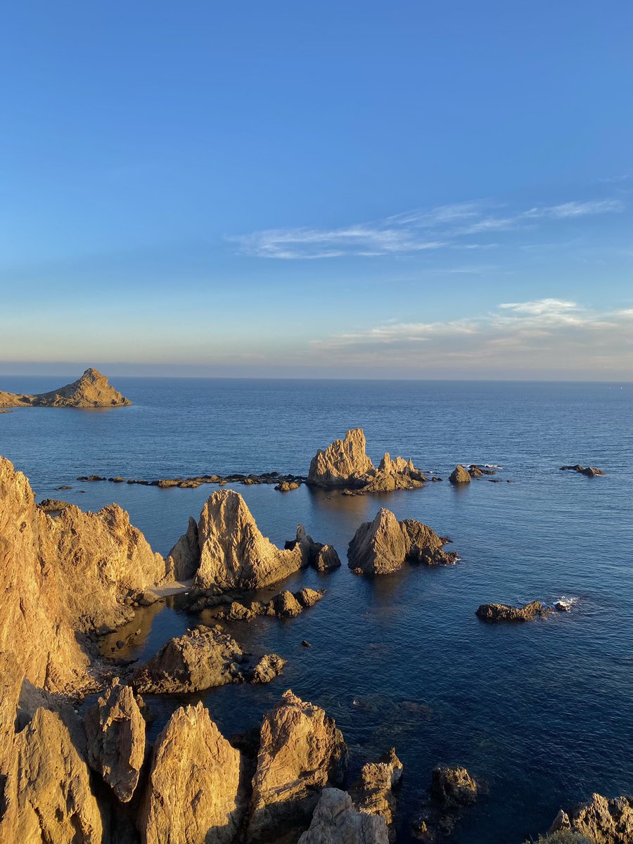 lexxatin1's tweet photo. Supremacía almeriense🌵🌊 https://t.co/qhLkRuuuK1
