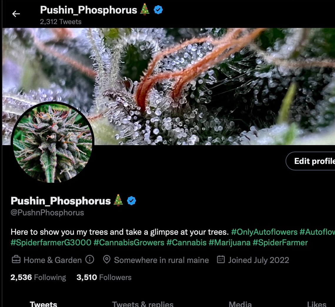 PushnPhosphorus's tweet photo. July 2022 is when I made my first social media account at 29 years old, I turned 30 with you all, hit 1-2-3k mile stones with you. 3.5k we're here now and I just want to thank each of you for following along. Love you guys! 💚 Thank you for your support it means the world to me! https://t.co/Xamxv9PuLP