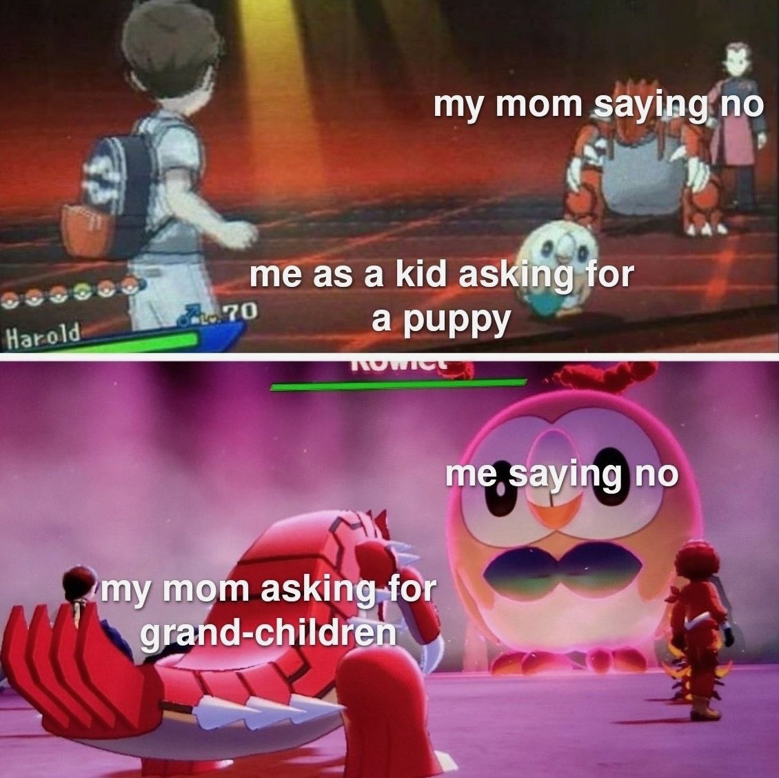 @dozygay on bluesky tweet media