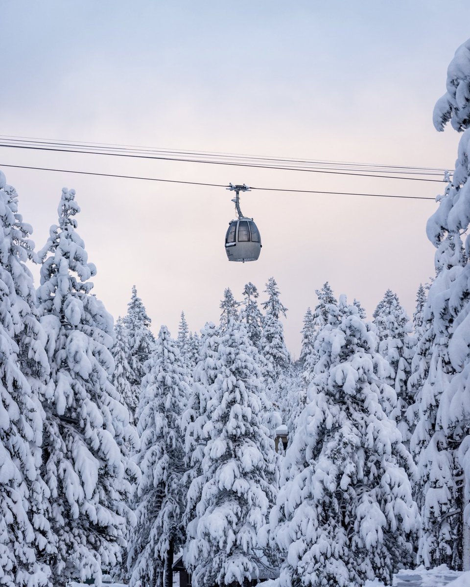 Mammoth Lakes Tourism, California tweet media