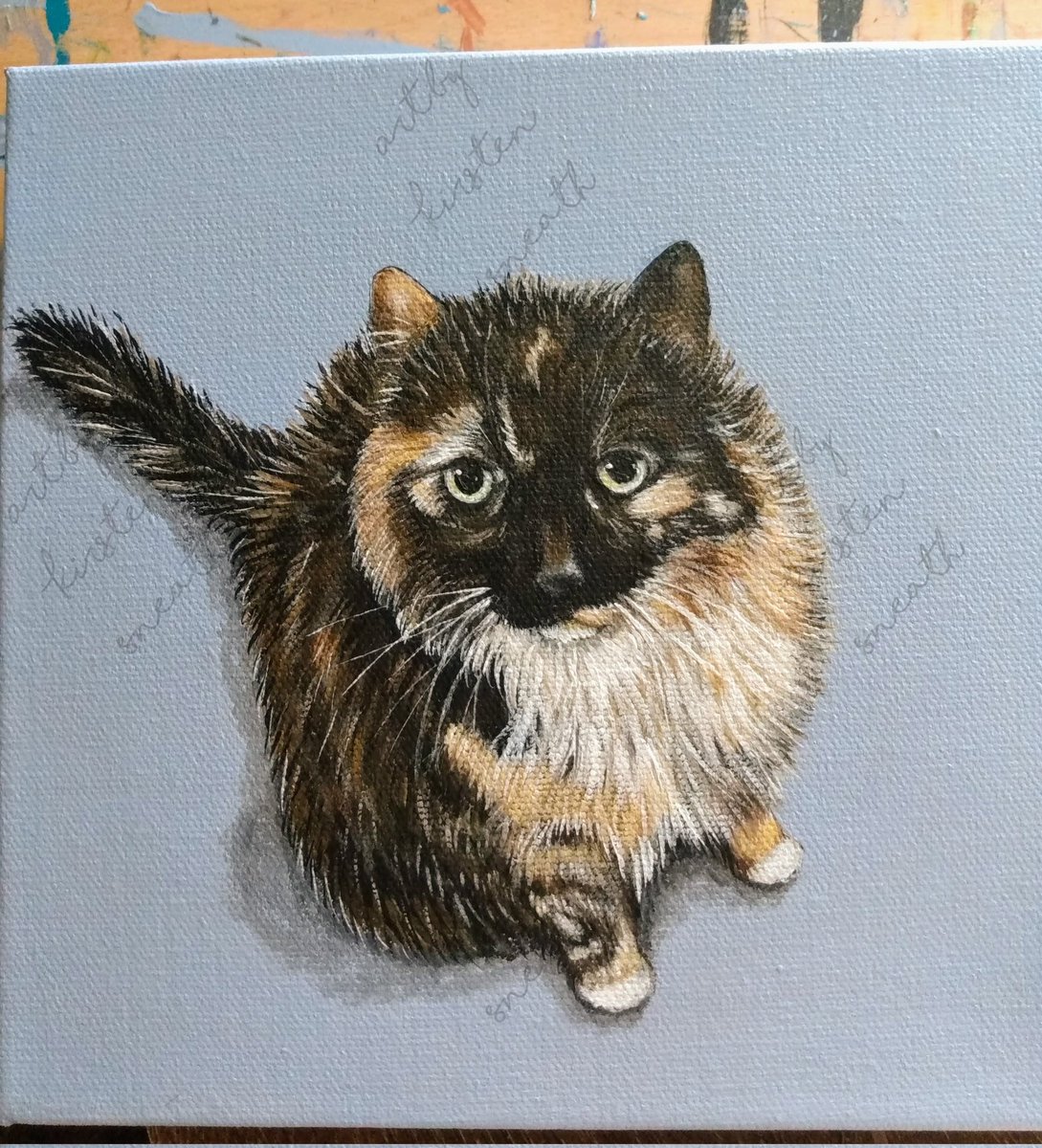 ksneathart's tweet photo. I can now share this sweet commission I did before Christmas. This is Kitty! Love that face! Hope you have a great week!💕💕 #catportraits #catpaintings #catcommission #kitty #cutecat #petportrait https://t.co/i5zDi6zjhB