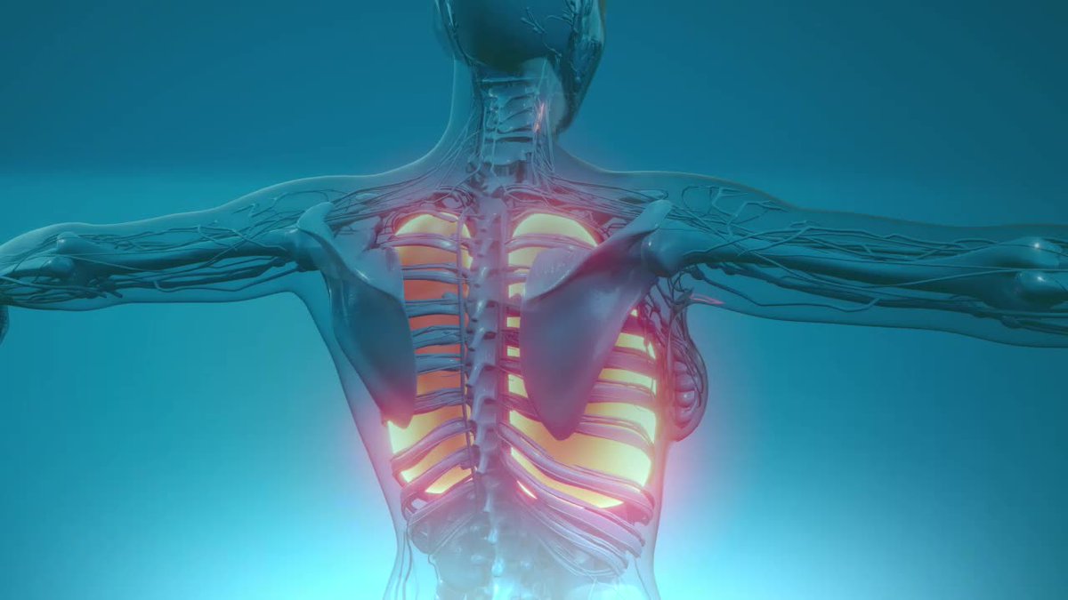 dicomevents's tweet image. How is #CloudBasedTechnology transforming and optimizing the #radiology workflow? #TeleRay CTO Cody Neville discusses some of the key benefits. Watch now: bit.ly/3jPTyOz. Follow @dicomevents and visitteleray.com to learn more about #Secure #MedicalData #Sharing