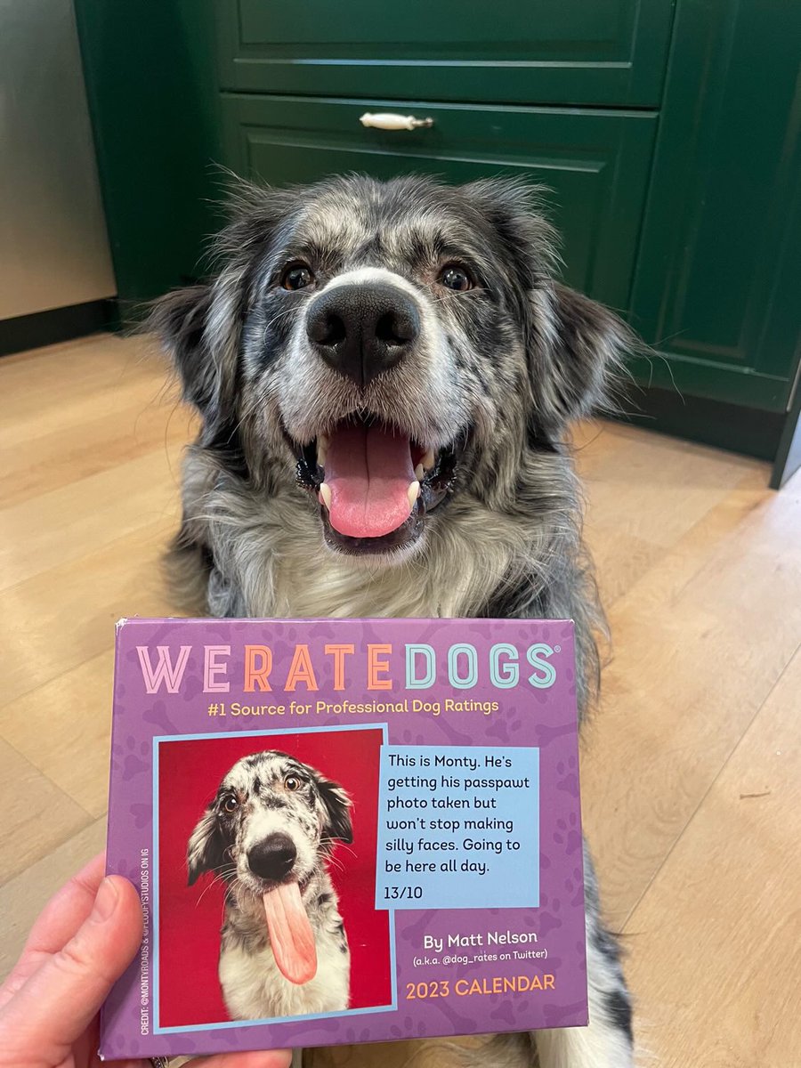 WeRateDogs Twitter: Who Runs It and How Much Is It Worth?