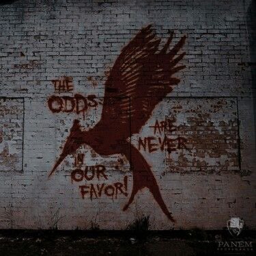 bridgertoncut's tweet photo. ⌗ 1. Jogos Vorazes - Suzanne Collins

 ❝— Ninguém se esquecera de mim. Não se esquecerão do meu visual, de meu nome. Katniss. A garota quente.❞

★| 5.0 https://t.co/vZvQca3QIg