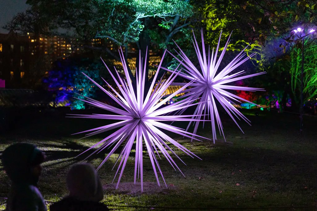 BrooklynBotanic's tweet photo. There's less than a week left to #LightscapeBrooklyn! Now through the show's closing on Jan. 8, save 25% with Value Packs of 2 adult or 2 adult+2 kids tickets. Catch this year's trail before it's gone! https://t.co/YYjxgLuTmY. https://t.co/PSjvjiNWU5