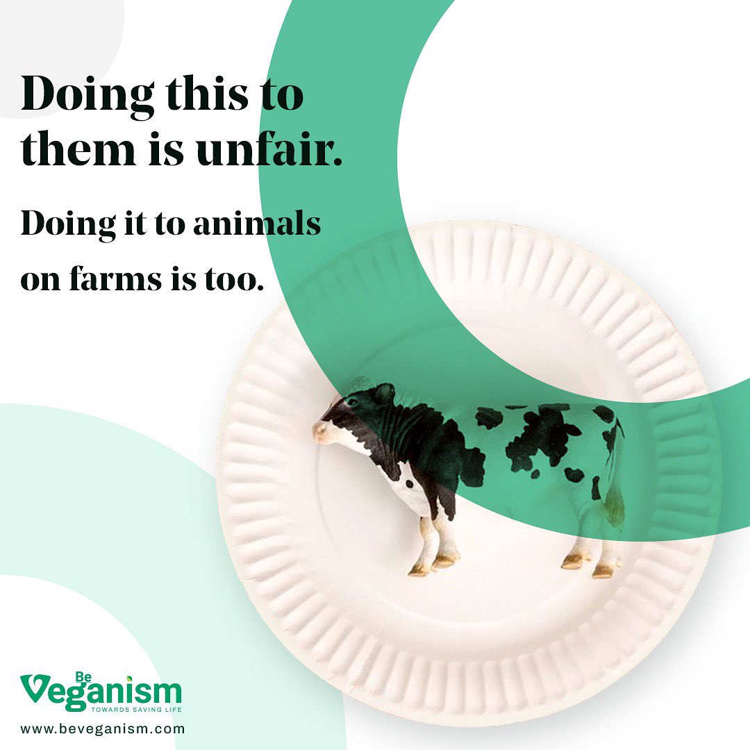 beveganism's tweet photo. WHY BE CRUEL TO ANIMALS WHEN THEY TREAT YOU BETTER THAN PEOPLE ???
.
.
#beveganism #veganrevolution #beyondmeat #beyondmeatburger #govegan #govegans #veganuary #veganfacts #plantbasedburger #veganlife #veganactivism #veganactivist #veganforplanet https://t.co/BSw4NN5X4a