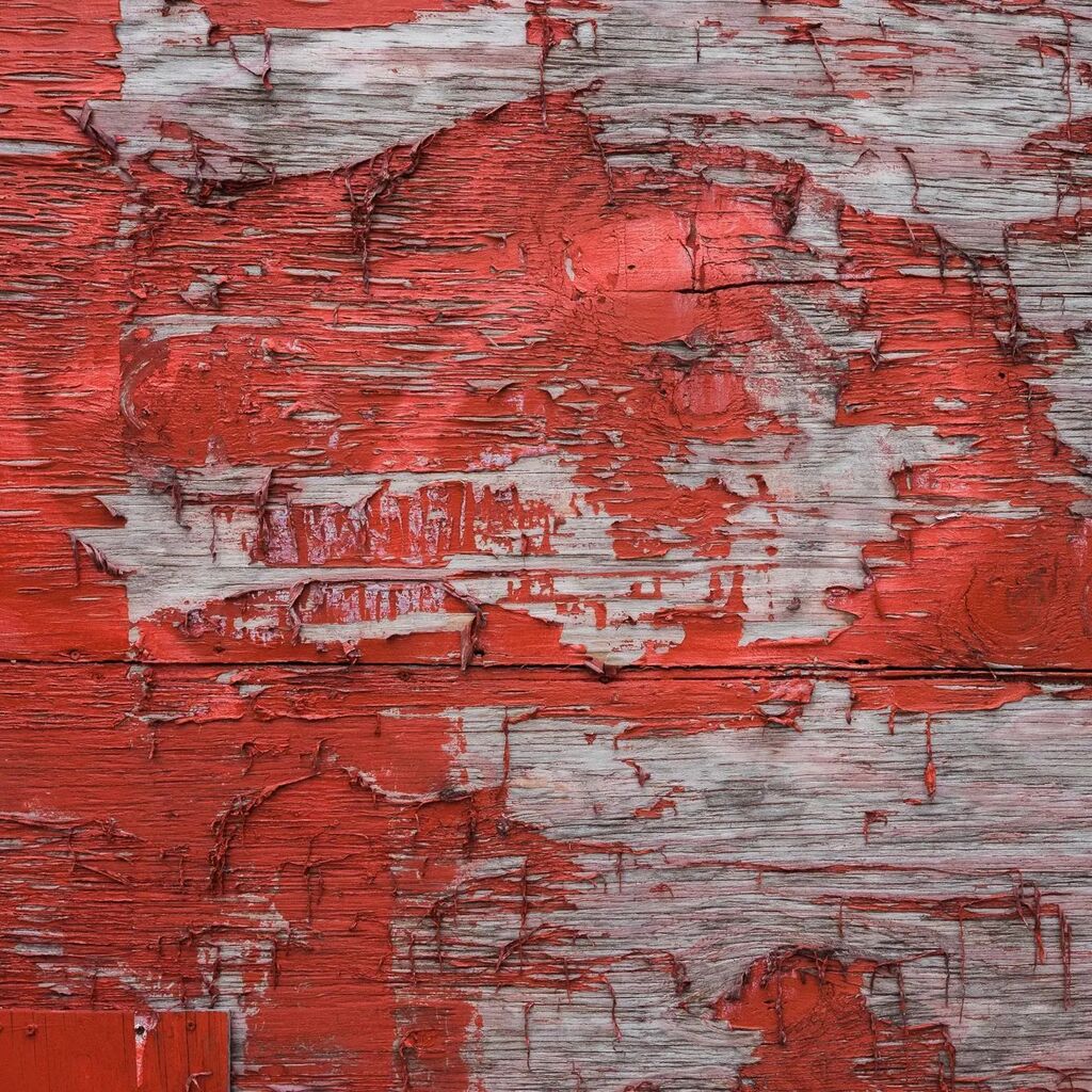 -
-
-
-
#fujix100v #subjectivelyobjective #fujifilm #thisaintartschool #fujifeed #fujilove
#myfujifilmlegacy #fujixshooters #fujifilm_xseries #myfeatureshoot  #fujilove #fuji #somewheremagazine #anotherplacemagazine #makemeseemag #analoguevibes #fujimag … instagr.am/p/Cm9biUgLHi_/