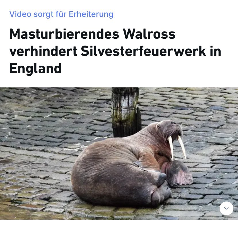 Eigentlich doch ganz gut?