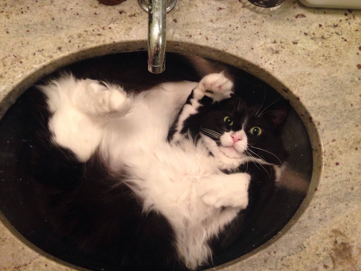 Aaron Gleeman tweet media