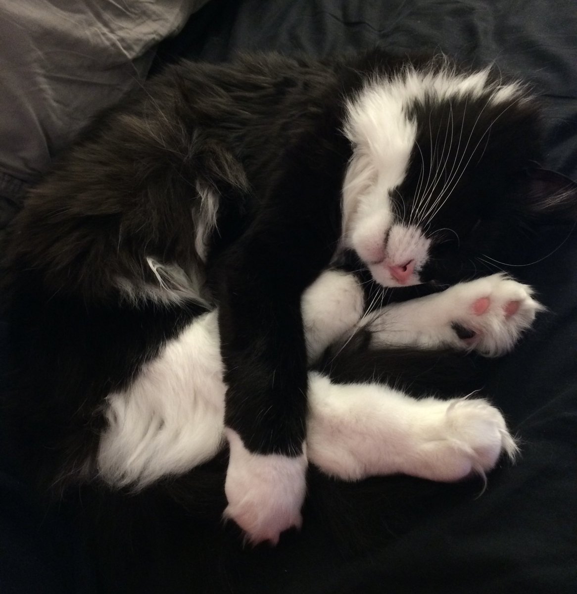 Aaron Gleeman tweet media