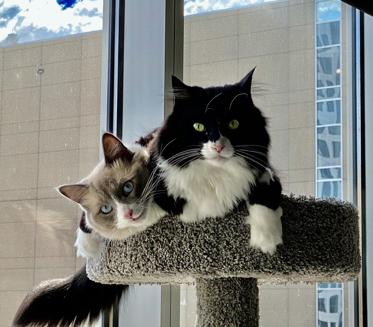 Aaron Gleeman tweet media